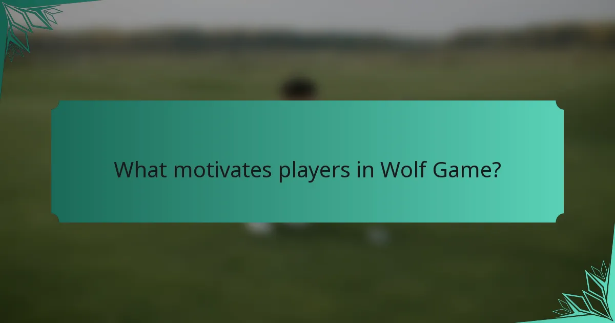 What motivates players in Wolf Game?
